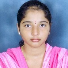 search engine bias and optimization